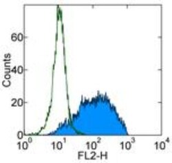 E-Selectin/CD62E Antibody (P2H3) - BSA Free, Novus Biologicals 0.1mg; Unlabeled:Antibodies,